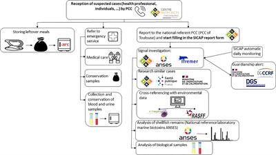 Human shellfish poisoning: Implementation of a national surveillance program in France